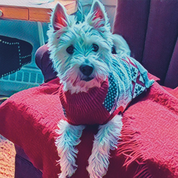 Meet your Posher, Ruthanne - Picture 2 of 2